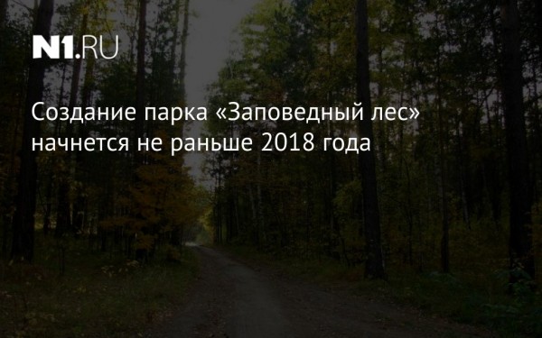 Создание парка «Заповедный лес» начнется не раньше 2018 года