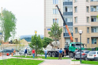Высадка деревьев в ЖК «Кольцово»